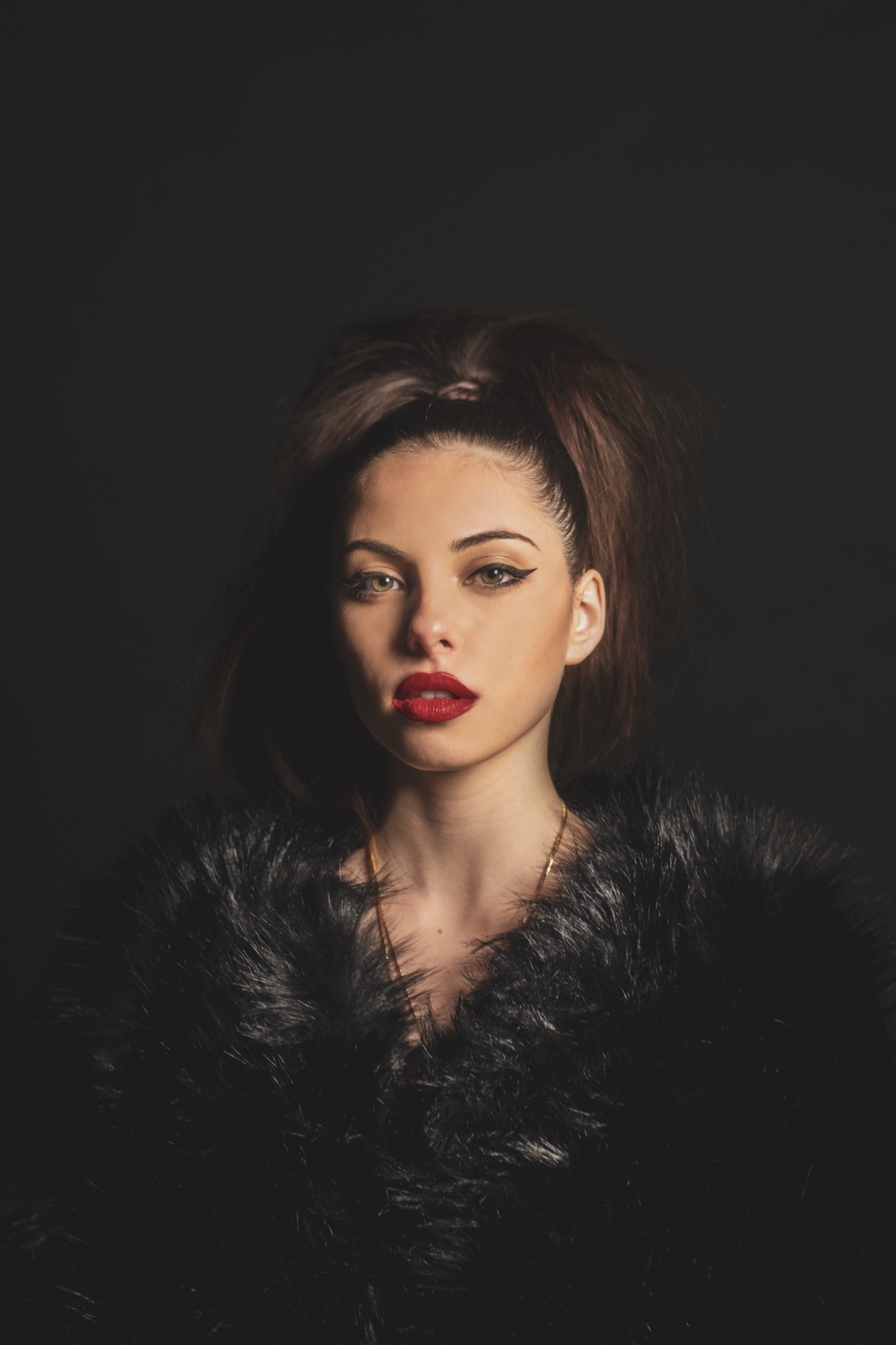 The Portrait Project cover